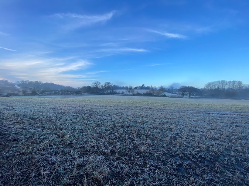 Part of the land which is being rewilded at Elmore Court in Gloucestershire UK