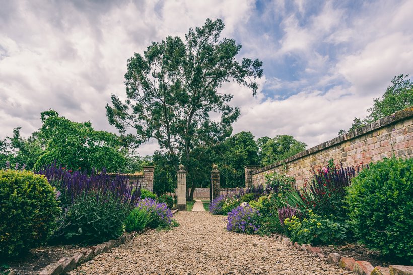 Walled garden walls and flowers for pollinators at sustainable wedding venue elmore court