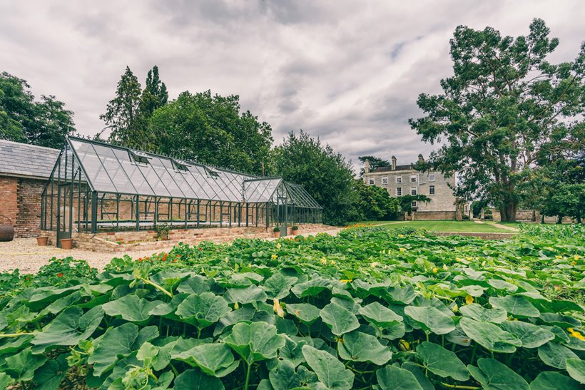 Walled garden at Elmore Court is stocked full of vegetables and ingredients for wedding menus