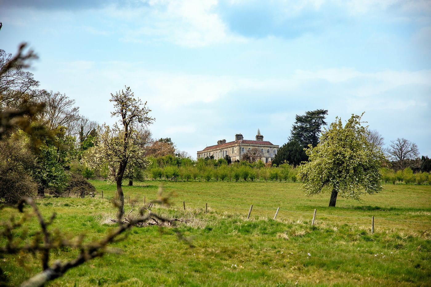 Wild Grasslands & Wedding Lawns